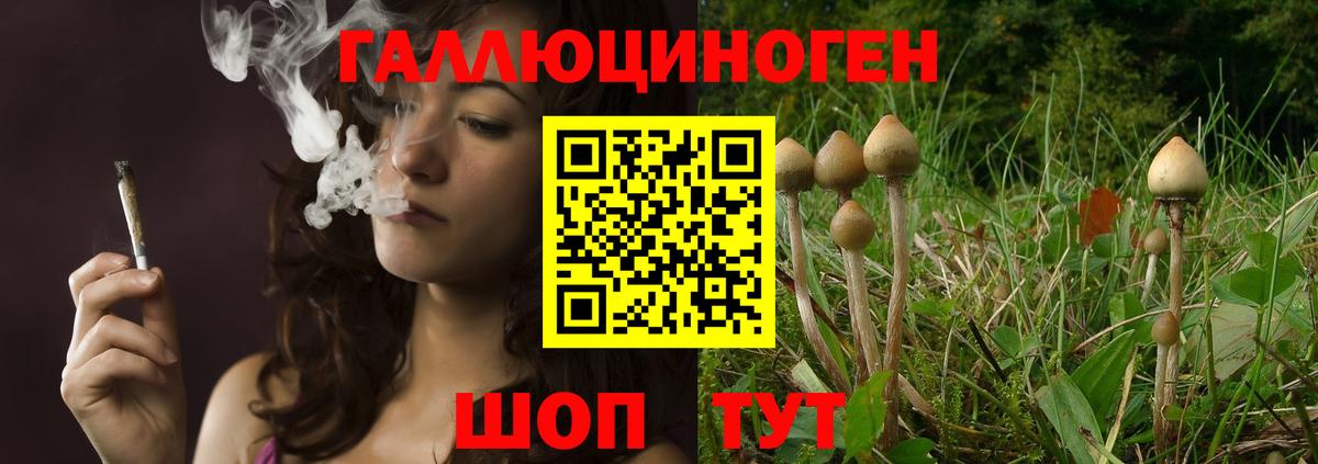 Псилоцибиновые грибы Magic Shrooms  Вход с VPN  Кыштым 